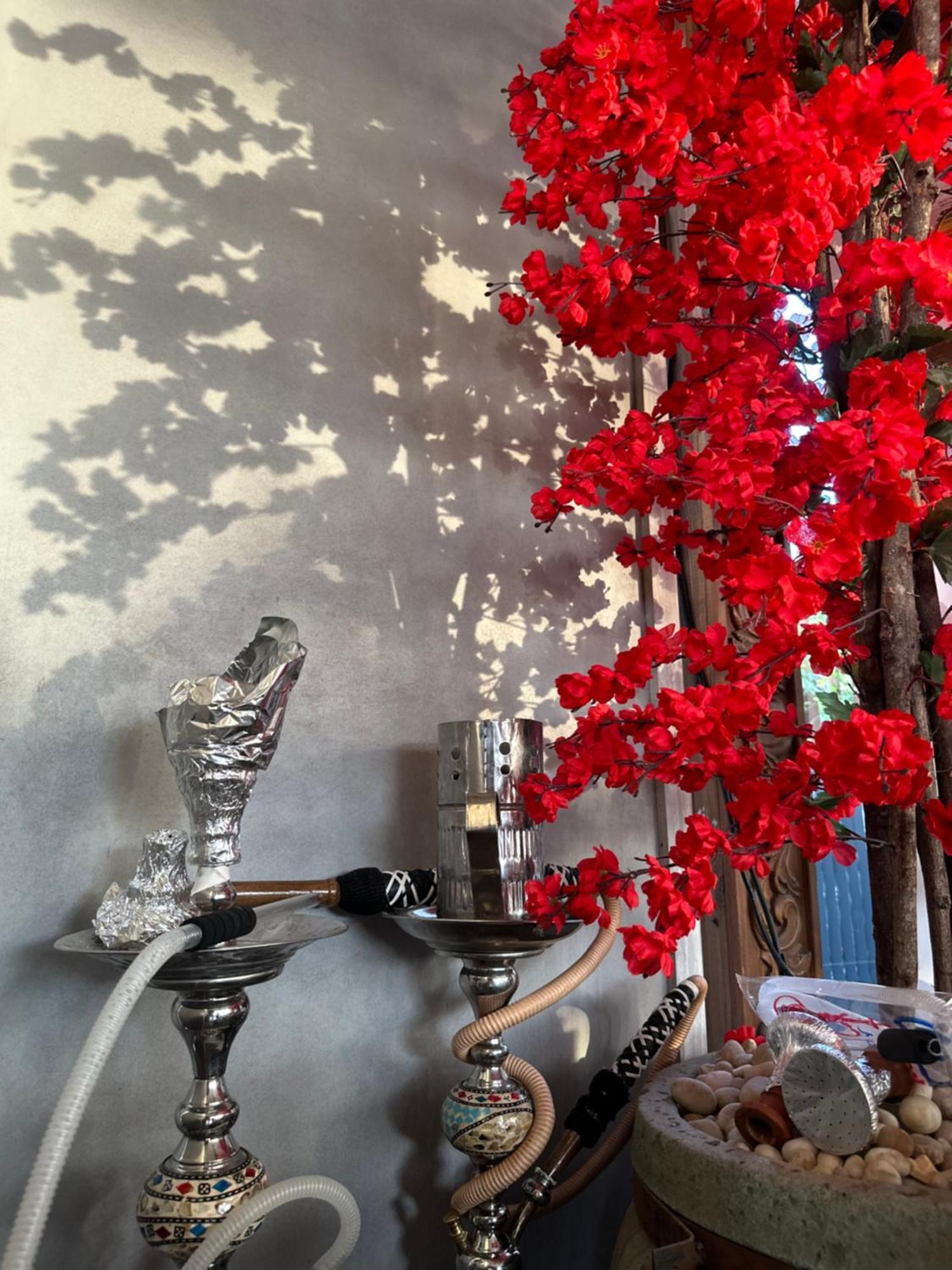 Apartment Modern 1-bedroom In Zamalek Visits Allowed